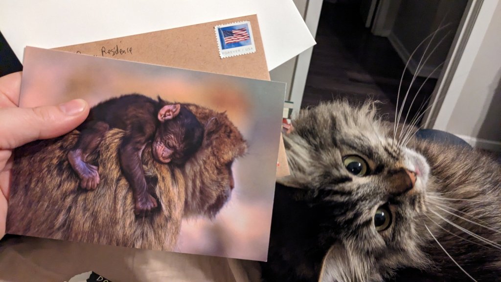 The Wreckoning and Postcards&nbsp;collide!