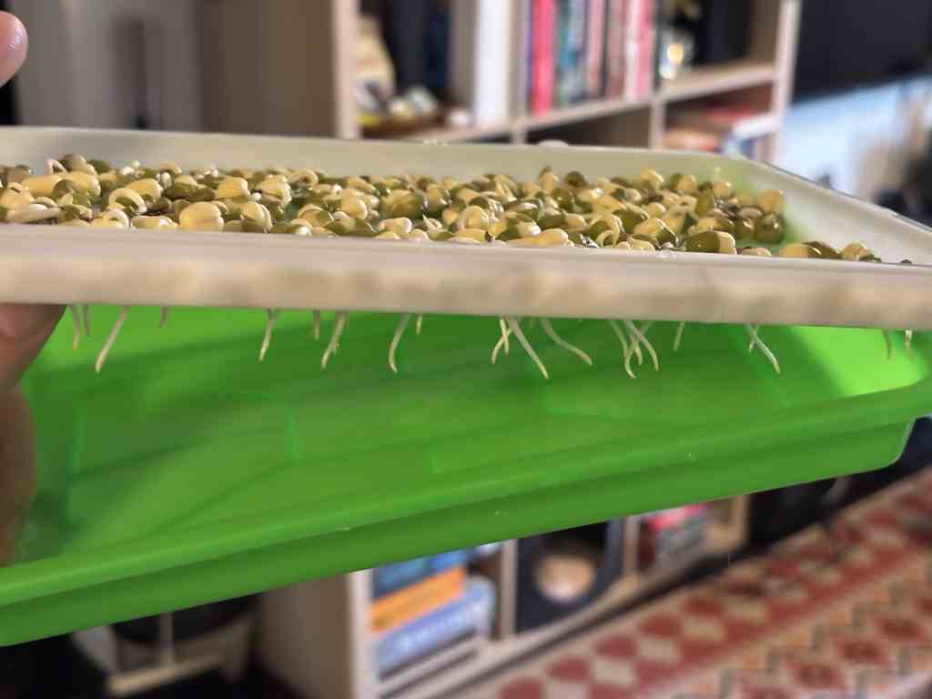 โ๏ธ Apologies for the Genital References in This Post