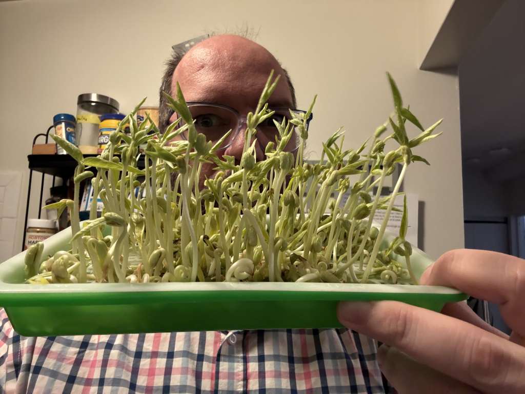 ๐ฑ Growing Edible Sprouts at Home